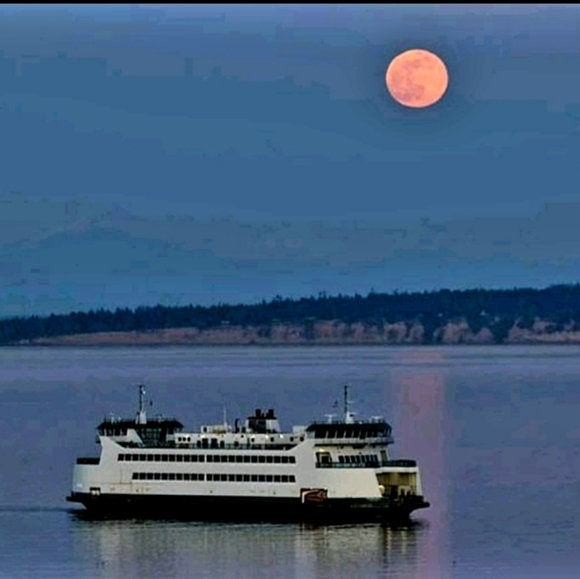 Meet your Posher, Horus - Picture 4 of 5